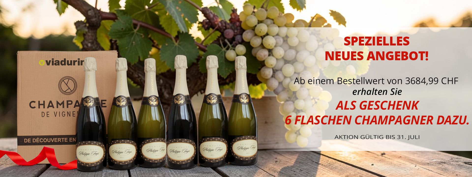 6 FLASCHEN CHAMPAGNER ALS GESCHENK!