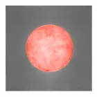 Moderne Wandlampe In-es.artdesign Waschmaschine aus Nebulite Viadurini