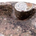 Marmor Aufsatzwaschbecken mit Fossilien - Burgeo Viadurini