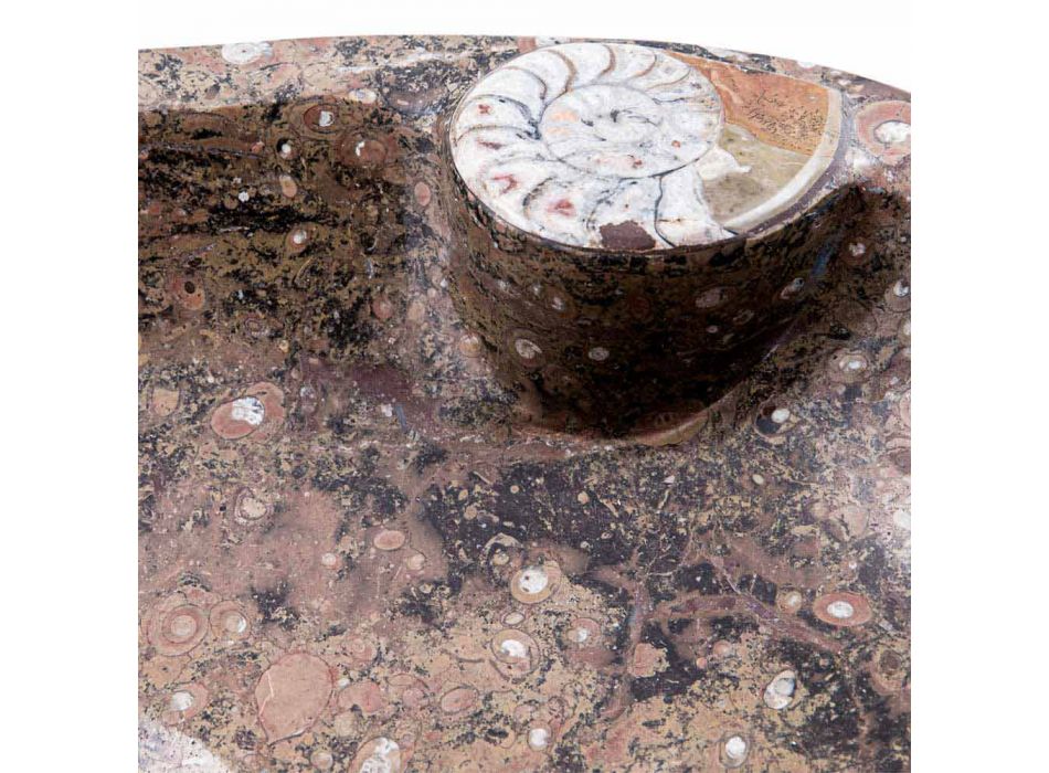 Marmor Aufsatzwaschbecken mit Fossilien - Burgeo Viadurini