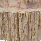 Holz Fossil Waschbecken Arbeitsplatte Goa Einzelstück Viadurini