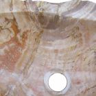 Holz Fossil Waschbecken Arbeitsplatte Goa Einzelstück Viadurini