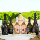Exklusive Verlosung: 6 Flaschen Prosecco DOC als Geschenk Viadurini