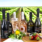 Exklusive Verlosung: 6 Flaschen Prosecco DOC als Geschenk Viadurini