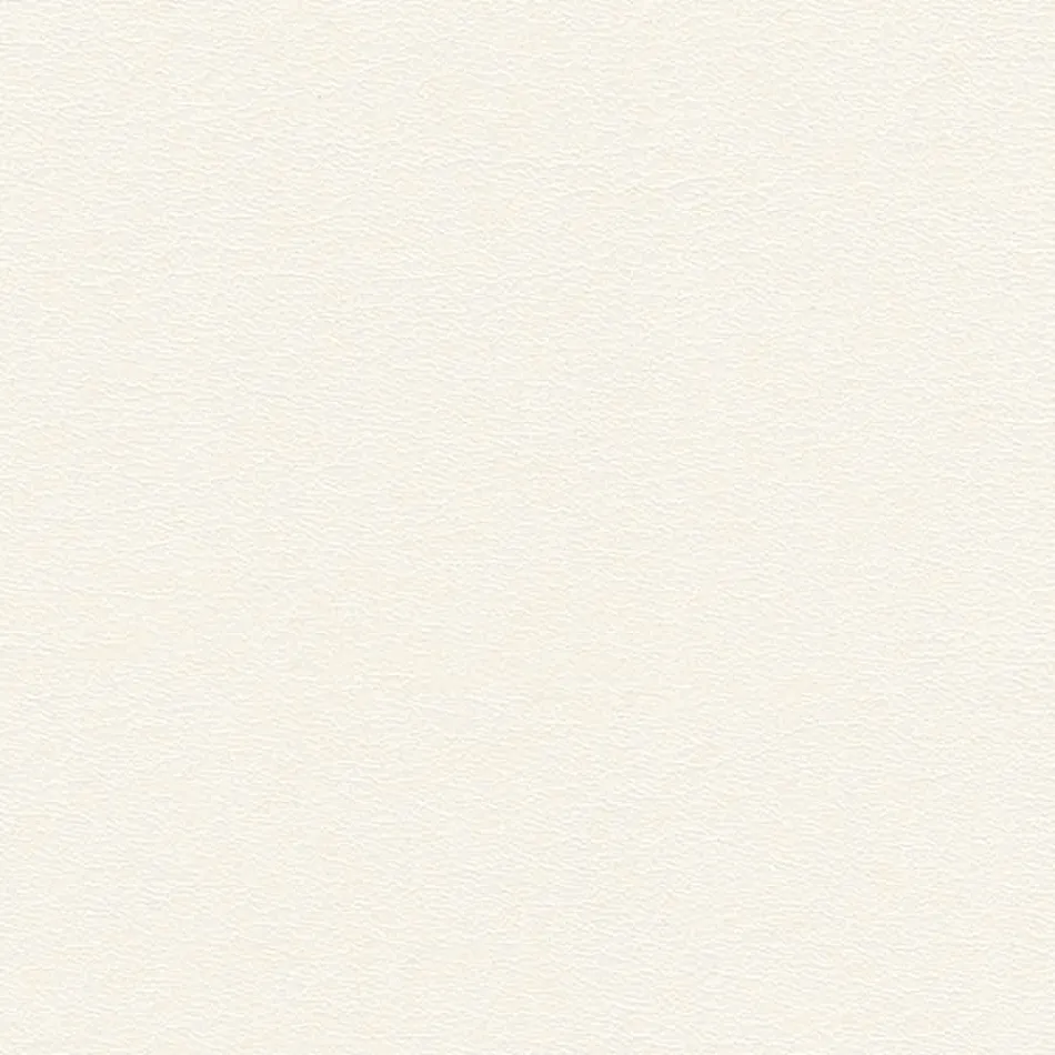 Wohnzimmersessel aus Glas und Sitz aus weißem Leder Modernes Design - Tecna Viadurini