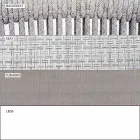 Garden Rocking Armchair Massiver und gepolsterter Stoff - Smart von Varaschin Viadurini