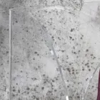 Schirmständer aus transparentem laserdekoriertem Acrylglas - Versio Viadurini