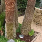 Runder Strahler mit LED Outdoor in Edelstahl - Dakota Viadurini