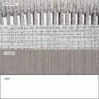 Gartenstuhl mit Armlehnen Stapelbar gepolstert H 78cm - Smart von Varaschin Viadurini