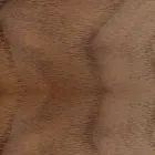 Gepolsterter Stuhl mit Gestell aus Eichenholz, hergestellt in Italien – Sebastian Viadurini