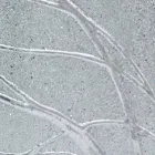 Rechteckiger Wandspiegel aus Tannenholz made in Italy Achille Viadurini