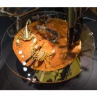 Niedriger Design-Couchtisch mit Glasplatte und Bigo-Holz Viadurini