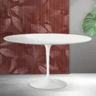 Saarinen Tulip Ovaler Couchtisch H 41 cm in Mattweiß Florim Keramik - Scharlachrot Viadurini