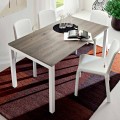 Esstisch aus Melamin und lackiertem Metall Made in Italy - Remigio