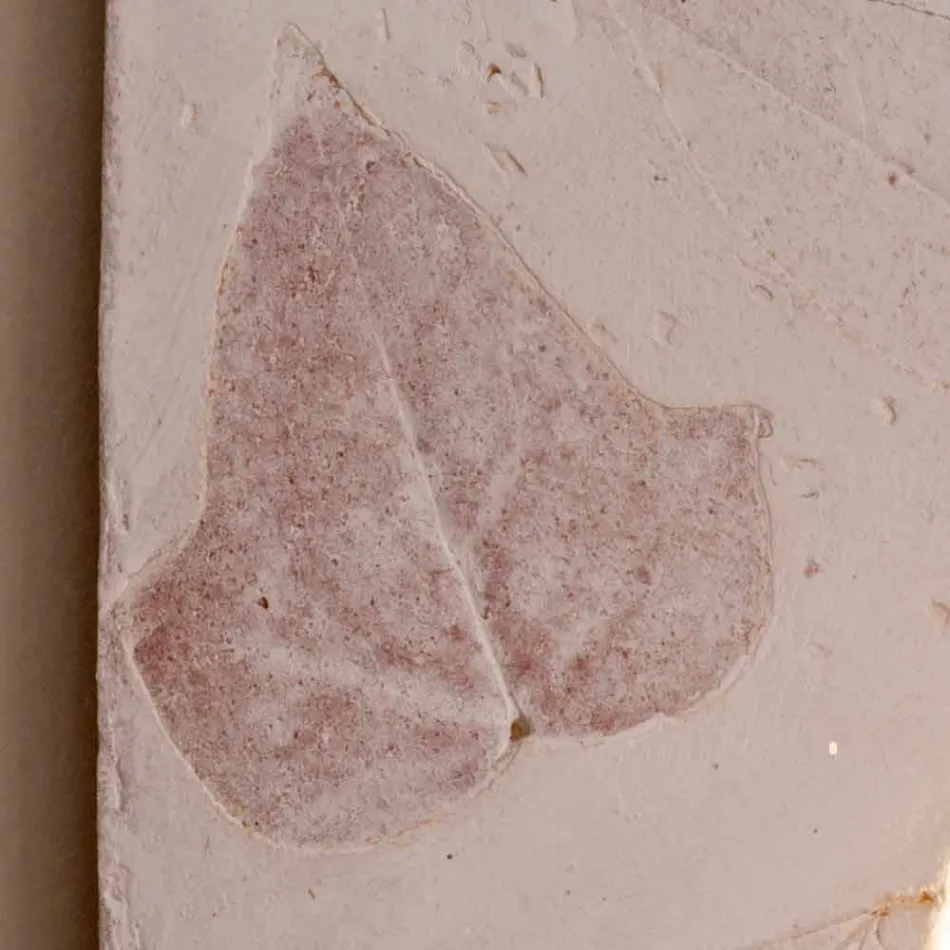 Toscot Vivaldi Terrakotta-Wandleuchte hergestellt in Italien Viadurini