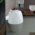 Modern Style White Design Freistehende Badewanne - Lipperiavas1