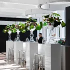 Moderne dekorative Vase aus weißem und transparentem Glas Made in Italy - Vulcano Viadurini